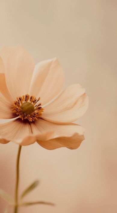 WhatsApp Image 2026-02-09 at 12.11.03